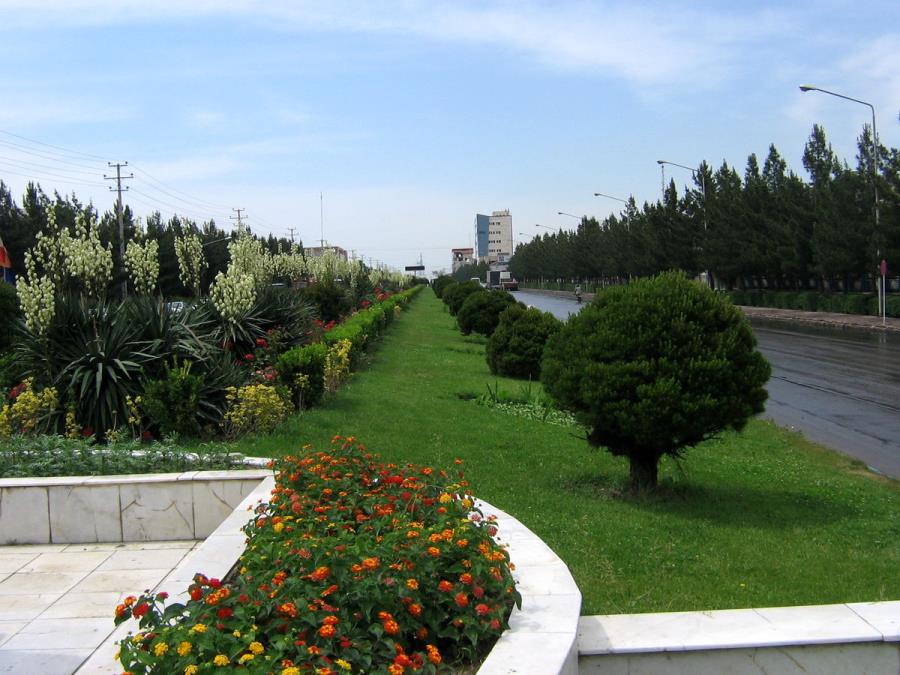 توسعه۵۰ هزار هکتار جنگل‌کاری کمربند سبز تهران تاپایان۱۴۰۳